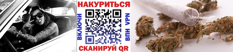 Бошки Шишки ГИДРОПОН  Приволжск 